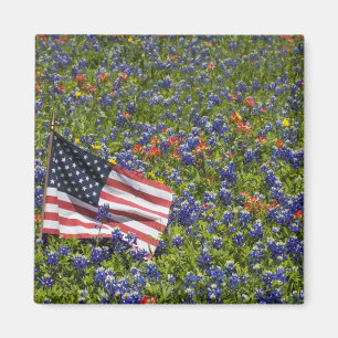 Íman Bandeira americana no campo das capotas azuis, 2