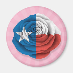 Íman Bandeira cor-de-rosa de Texas no rosa