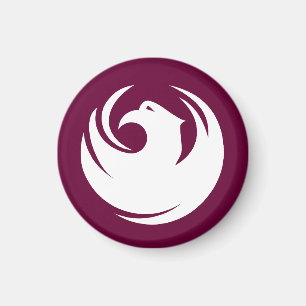 Íman Bandeira da Arizona da cidade de Phoenix