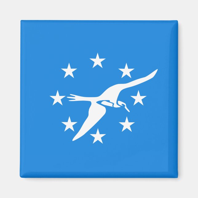 Íman Bandeira da Cidade de Corpus Christi (Texas) (Frente)