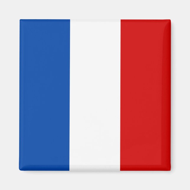 Íman Bandeira da França (Frente)