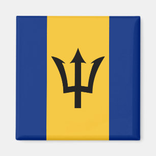Íman Bandeira de Barbados