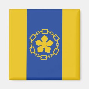 Íman Bandeira de Hamilton (Ontário, Canadá)