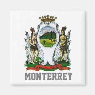 Íman Bandeira de Monterrey, Nuevo León - MÉXICO