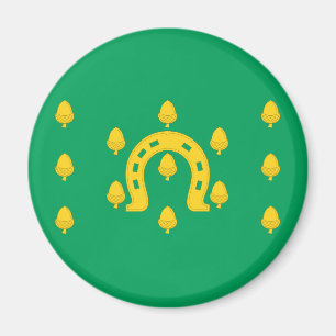 Íman Bandeira de Rutland Magnet