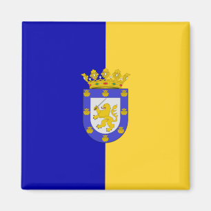 Íman Bandeira de Santiago (Chile)