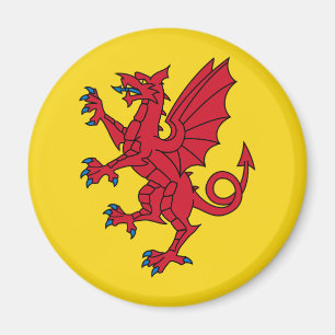 Íman Bandeira de Somerset Magnet