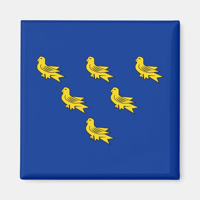 Íman Bandeira de Sussex (Frente)