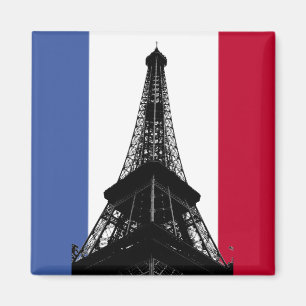 Íman Bandeira do ímã de France