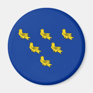 Íman Bandeira do ímã Sussex