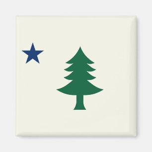 Íman Bandeira do Maine de 1901