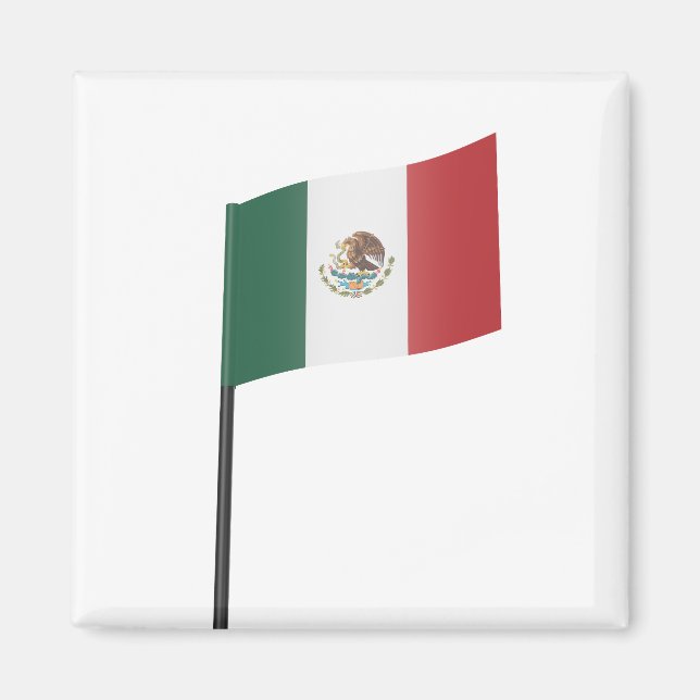 Íman Bandeira do México (Frente)