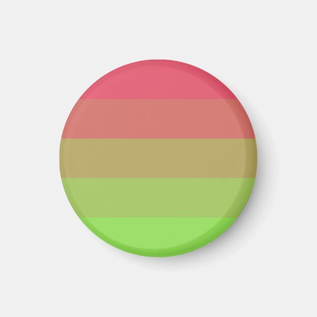 Íman Bandeira do Orgulho Aroflux (Frente)