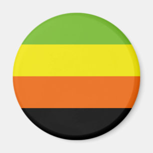 Íman Bandeira do Orgulho Aromântico