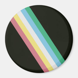 Íman Bandeira do Orgulho da Deficiência