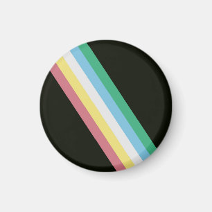 Íman Bandeira do Orgulho da Deficiência