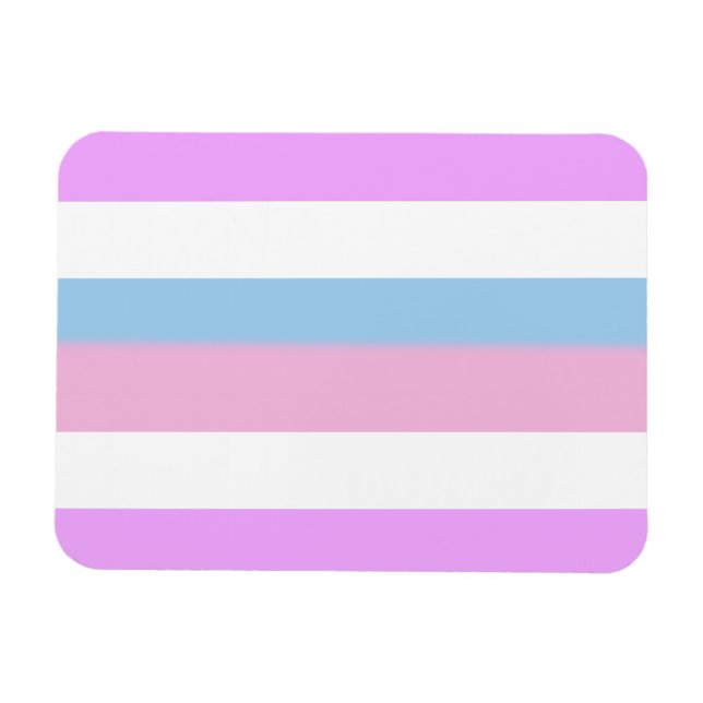 Íman Bandeira do Orgulho Intersexo (Horizontal)