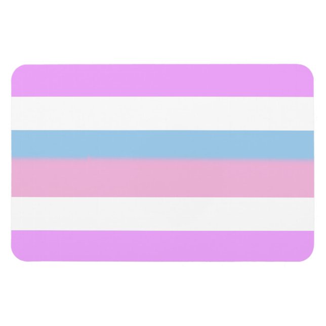 Íman Bandeira do Orgulho Intersexo (Horizontal)