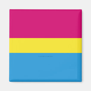 Íman bandeira do orgulho pansexual SlipperyJoe rosa âmb