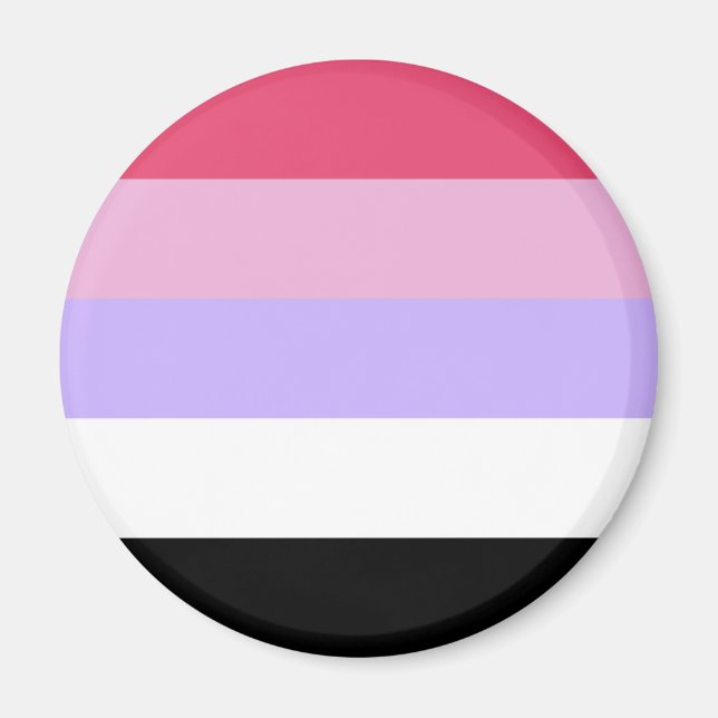 Íman Bandeira do Orgulho Reciprosexual (Frente)