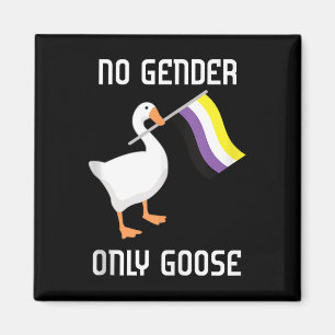 Íman Bandeira do Orgulho Sem Gênero do Ganso Não Binári