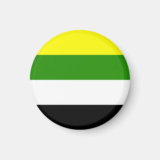 Íman Bandeira do Orgulho Skoliossexual (Frente)