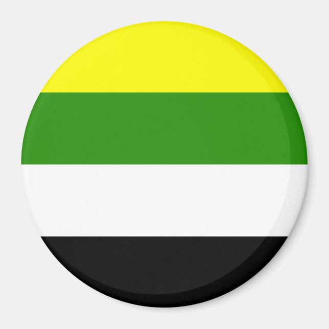 Íman Bandeira do Orgulho Skoliossexual (Frente)