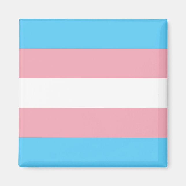 Íman Bandeira do Orgulho Transgênero (Frente)