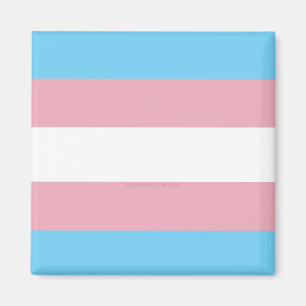Íman bandeira do orgulho transgênero da diversidade Sli
