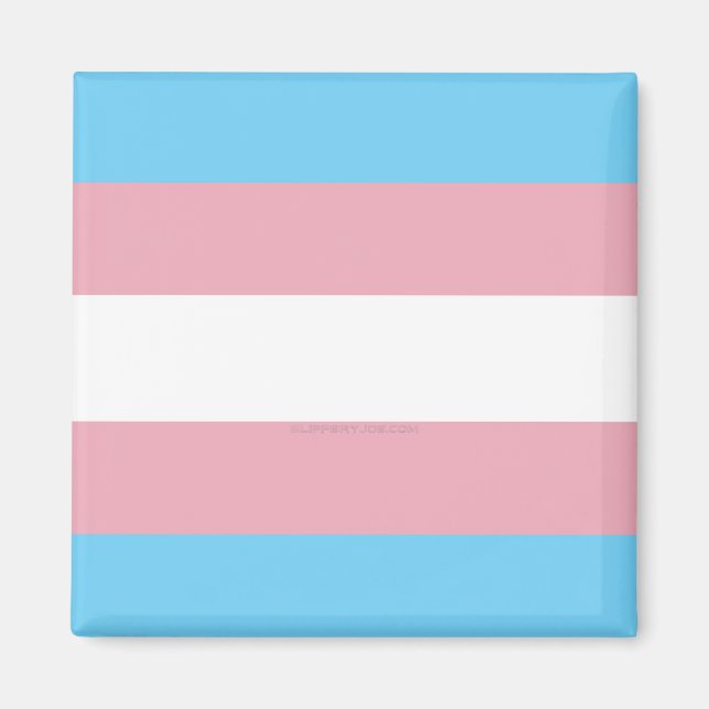 Íman bandeira do orgulho transgênero da diversidade Sli (Frente)