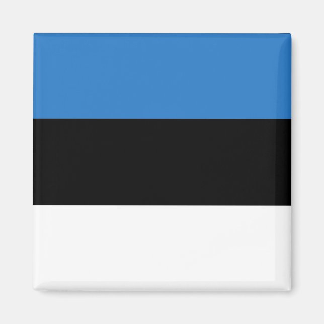 Íman Bandeira do país da Estônia (Frente)