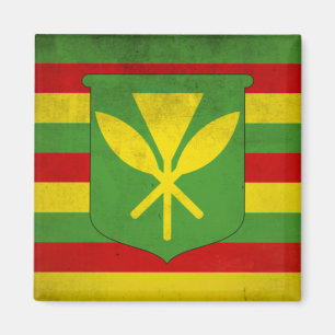 Íman Bandeira dos Havaianos Nativos