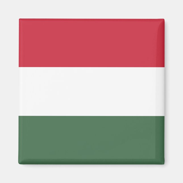 Íman Bandeira Húngara (Frente)