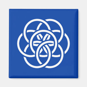 Íman Bandeira Internacional do Planeta Terra