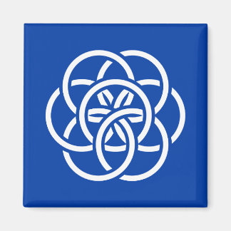 Íman Bandeira Internacional do Planeta Terra
