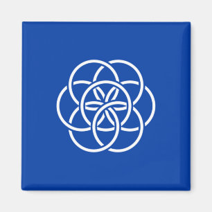 Íman Bandeira Internacional do Planeta Terra