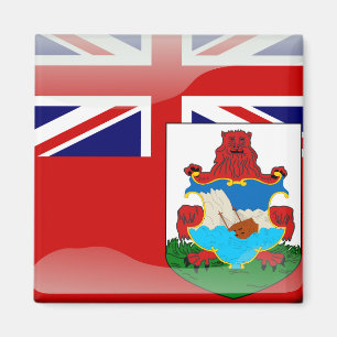 Íman Bandeira lustrosa bermudense