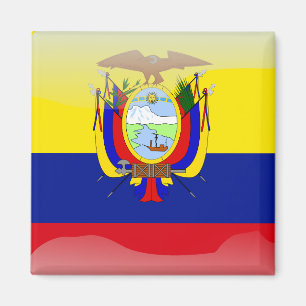 Íman Bandeira lustrosa do Ecuadorian