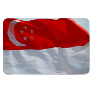 Íman bandeira singapore