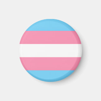 Íman bandeira trans em ímã