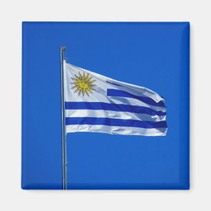 Íman bandeira uruguiana
