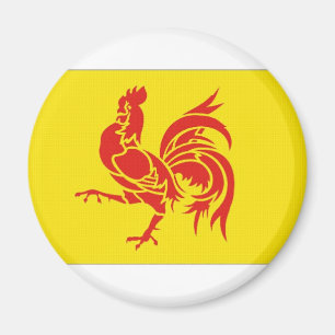Íman Bandeira valona da região de Bélgica