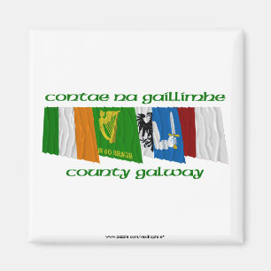 Íman Bandeiras de Galway do condado