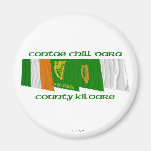 Íman Bandeiras de Kildare do condado