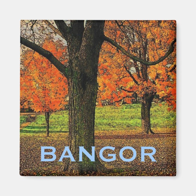 Íman Bangor Magnet (Frente)