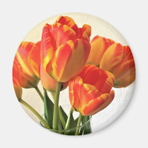 Íman Banja Luka Tulips