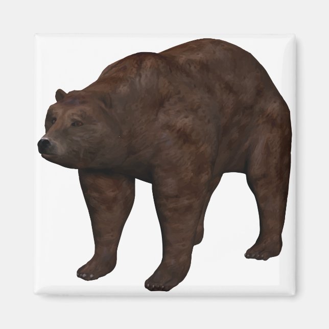 Íman Bär (Frente)