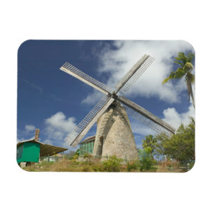 Íman BARBADOS, Costa Nordeste, Morgan Lewis: Morgan