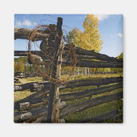 Barbed Wire