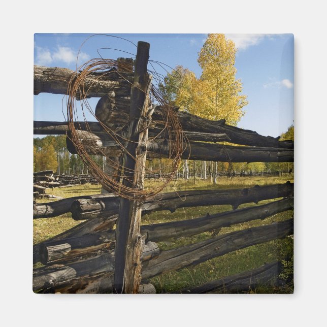 Íman Barbed Wire (Frente)